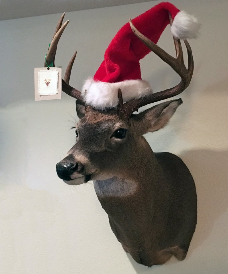Merry Christmas!