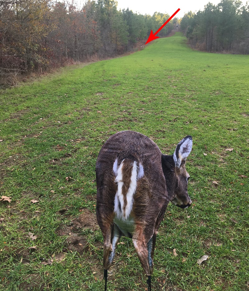 Deer Rump decoy with a harvested doe in the background (arrow).