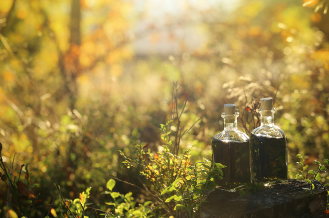 Survival Mushroom Tinctures