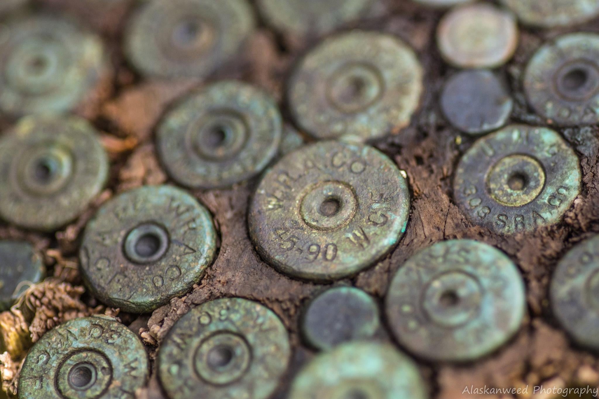 These old brass cartridge cases may well be 100 years old.