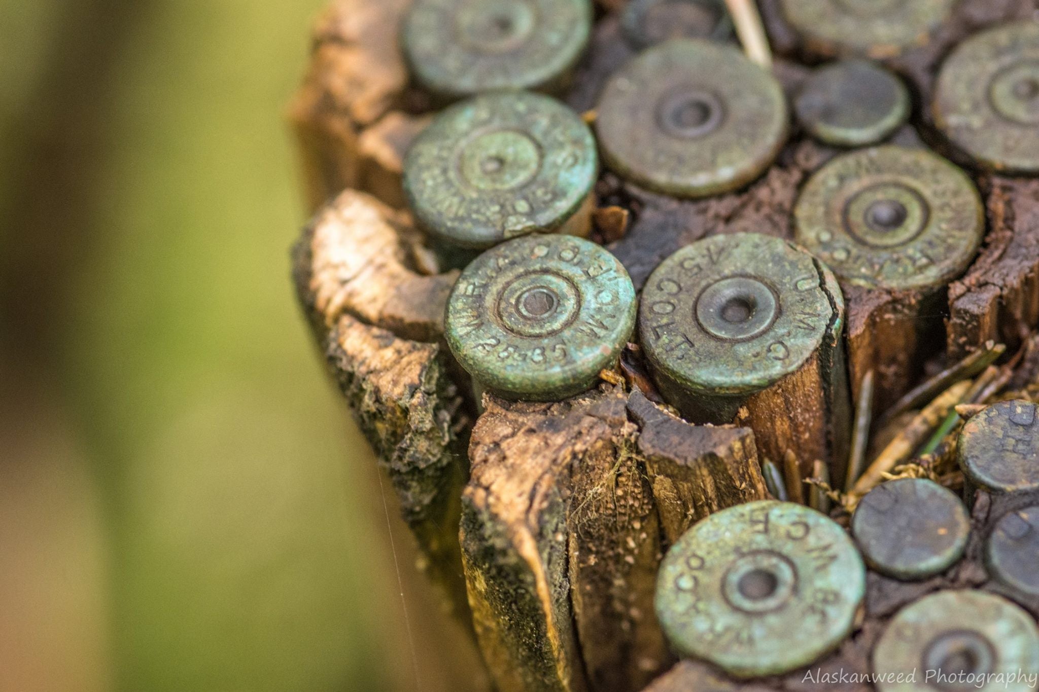The 25-35 W.C.F. was one of the most accurate lever-action cartridges around but was "anemic" when it comes to big game hunting, according to "Cartridges of the World."