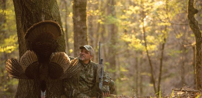 Top 5 Turkey Blinds for Gobbler Clobbering in 2019