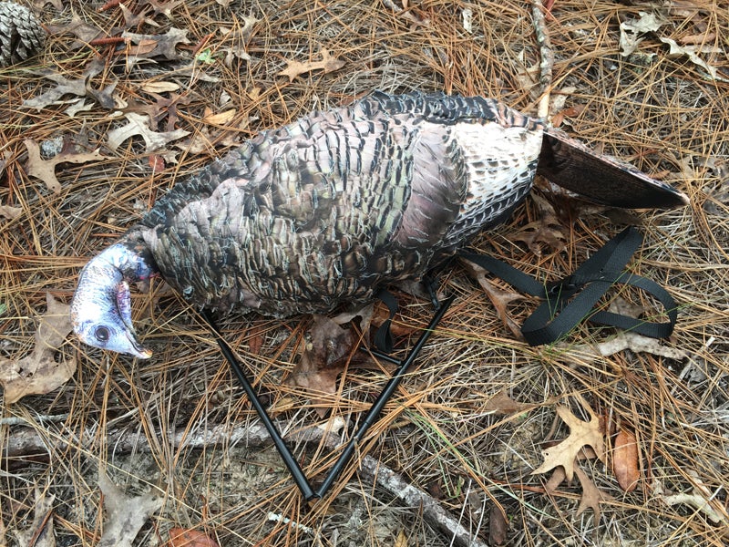 Miss Purr-Fect 3D Turkey hen decoy, deployed.