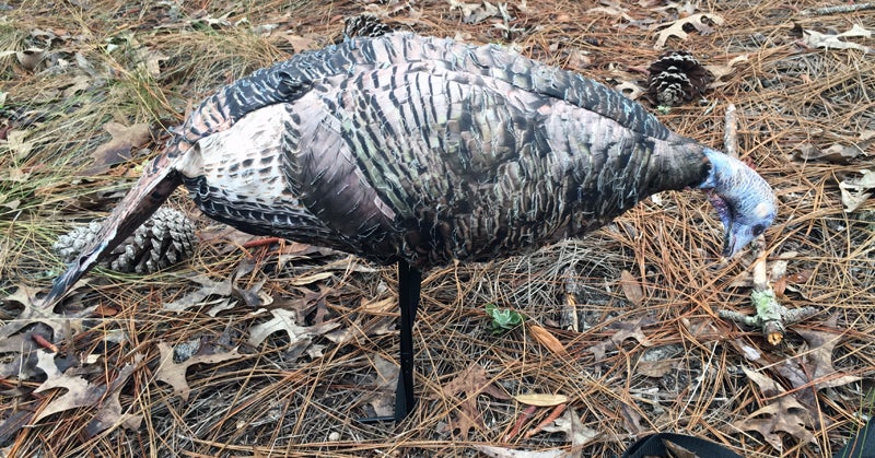 Miss Purr-Fect 3D Turkey hen decoy in the feeder pose.