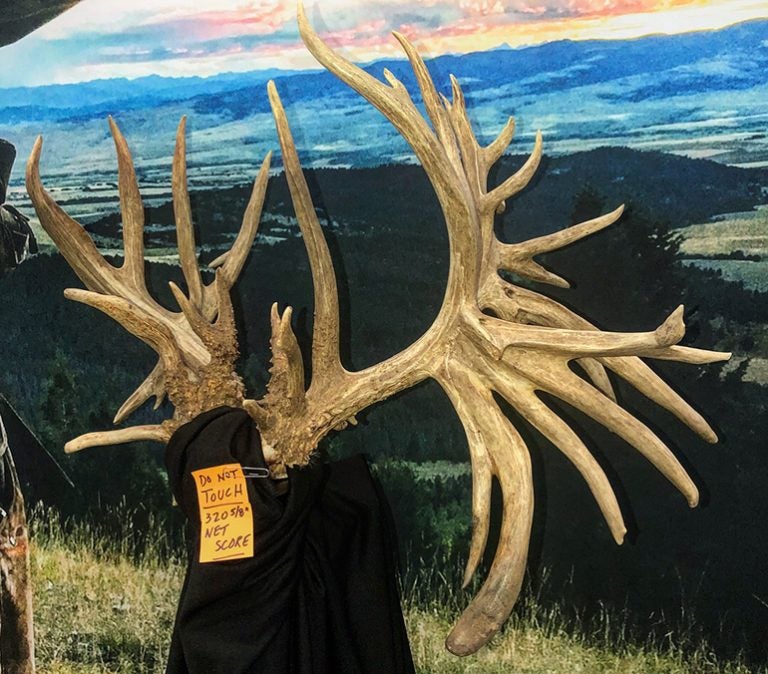 world-record-whitetail-scores-even-higher-than-before-alloutdoor