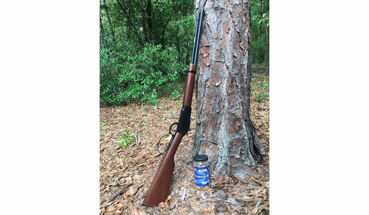 My New Henry Small Game Rifle My New Henry Small Game Rifle