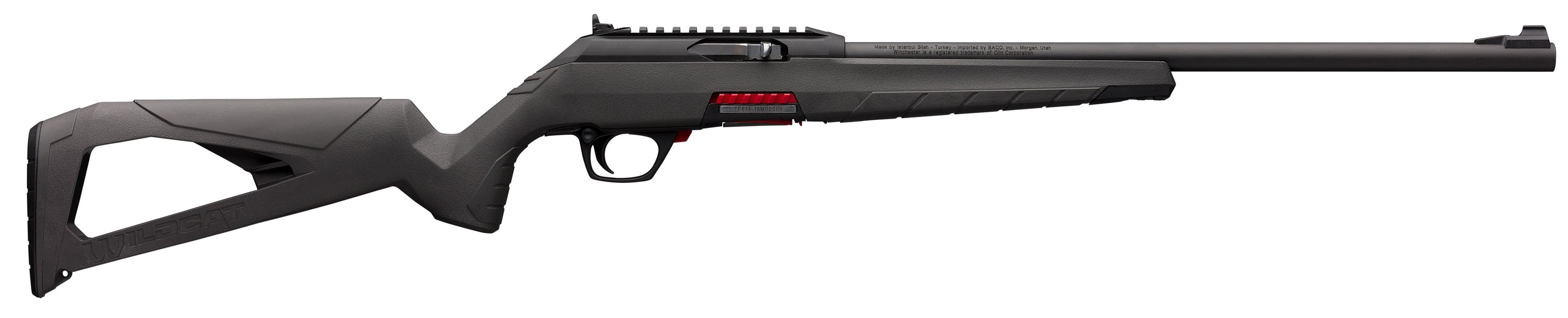 The new Winchester Wildcat semi-auto 22 LR rimfire rifle.