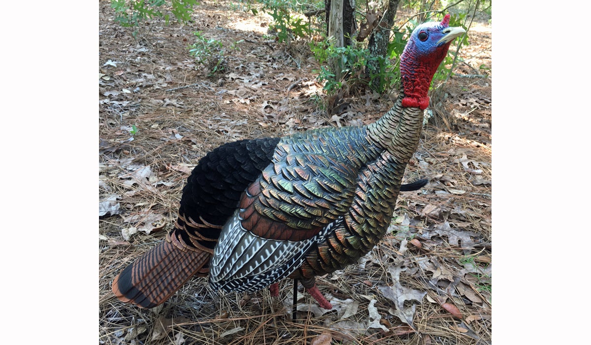 Avian-X HDR Jake Turkey Decoy Review Avian-X HDR Jake Turkey Decoy Review