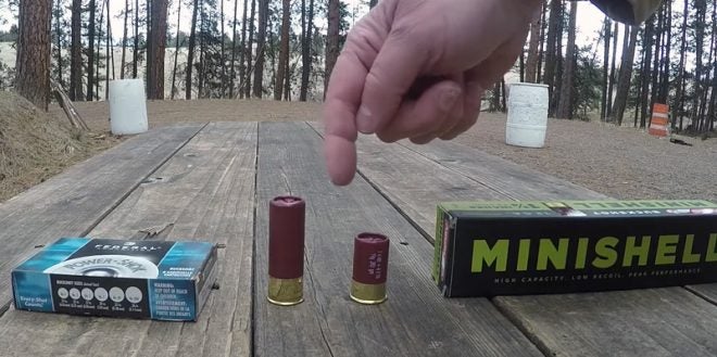 Aguila Minishells for Home Defense?