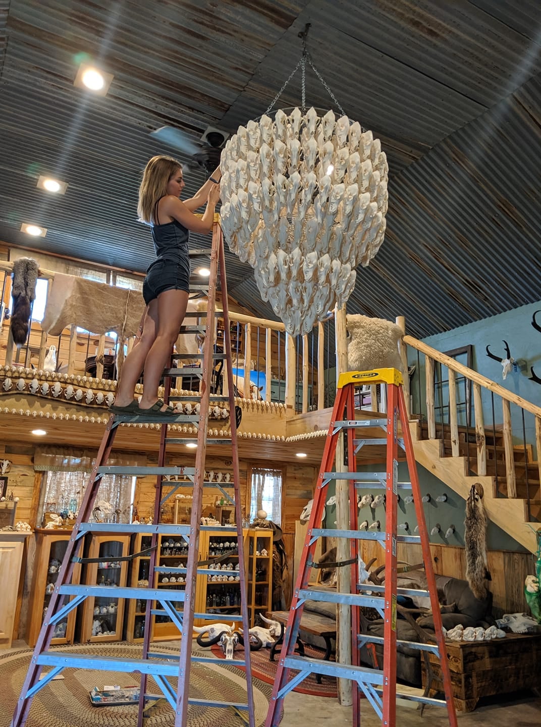 Amazing coyote-skull chandelier.