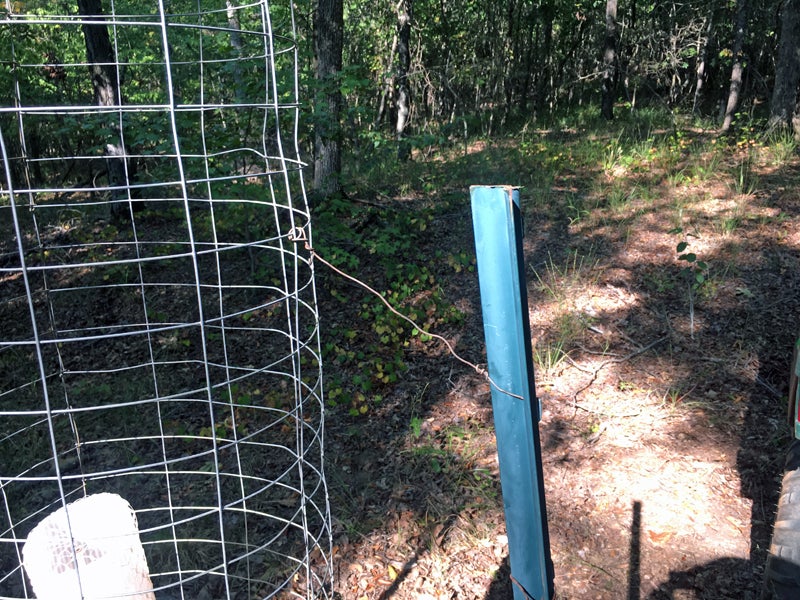 After installing this wire, I drove the fence post a little deeper to take out the slack in the wire. (Photo © Russ Chastain)