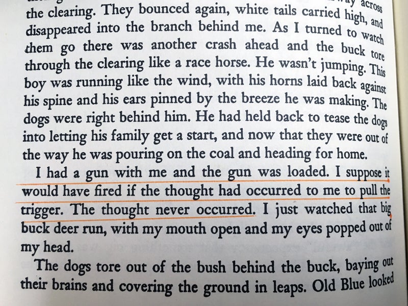 The underlined passage pretty much sums up my first chance to kill a buck. (Photo © Russ Chastain)