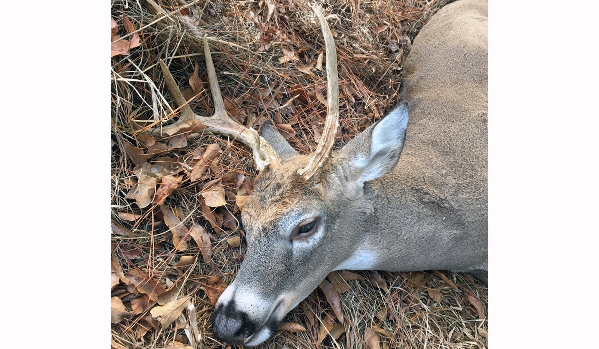 Phoenix and Beyond: Muzzleloader Hunting With New and Old Rifles Phoenix and Beyond: Muzzleloader Hunting With New and Old Rifles