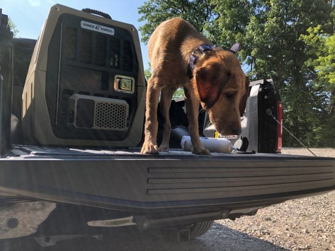 How To Prep Your Vehicle for Hunting Season