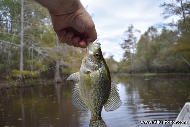 Crappie fishing