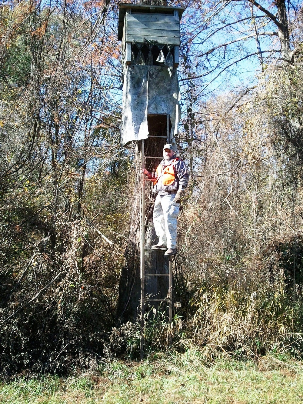 Ladder Stands Ladder Stands