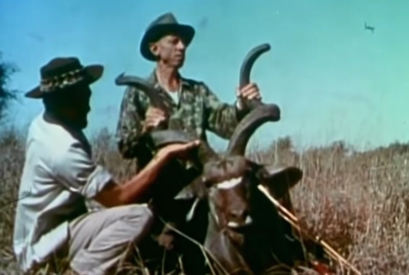 Fred Bear Archery Hunting in Africa Fred Bear Archery Hunting in Africa