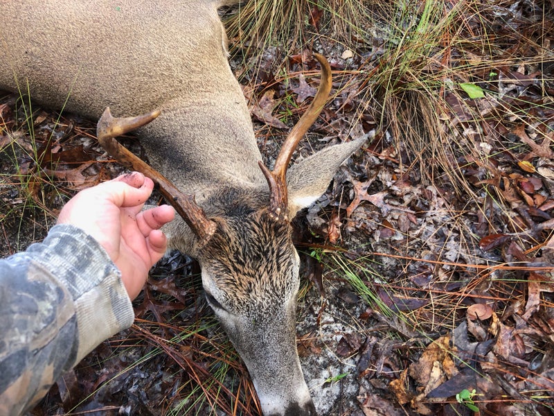 Opening morning Florida buck. (Photo © Russ Chastain)