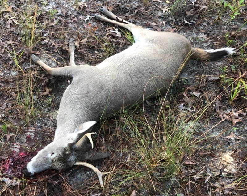 Shane's biggest and final buck of November 2019. (Photo © Russ Chastain)