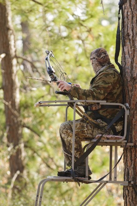 The Aerial Peril of Tree Stands