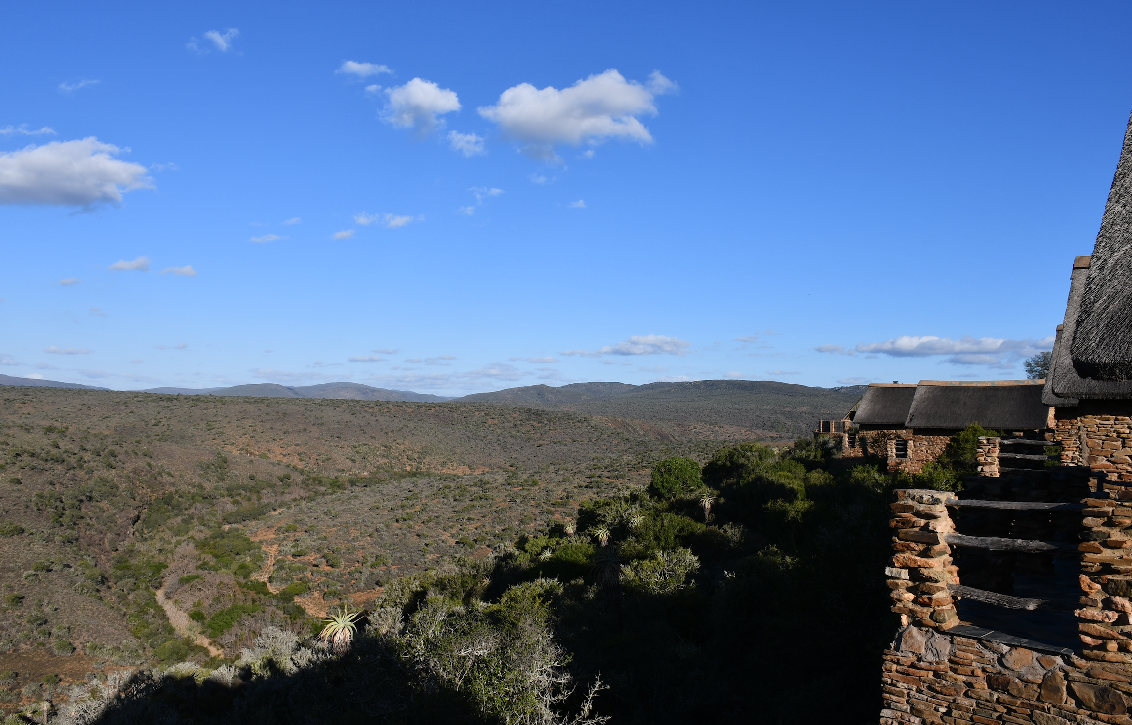 Hunting in Africa, What You Need to Know Hunting in Africa, What You Need to Know