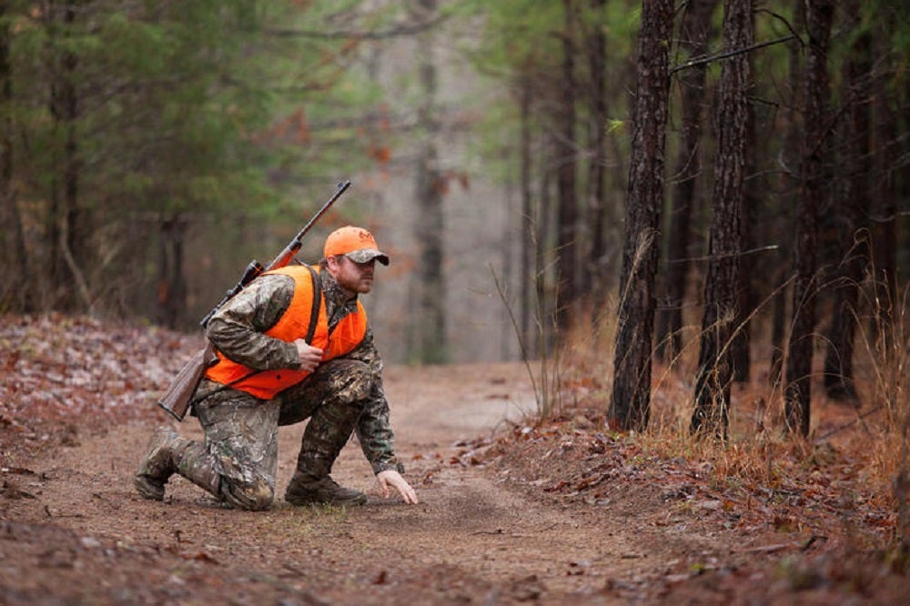 Take A Deer Hunt Hike