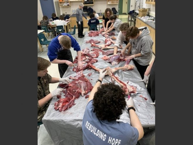 These Alaska High Schoolers Butchered a Moose in Class