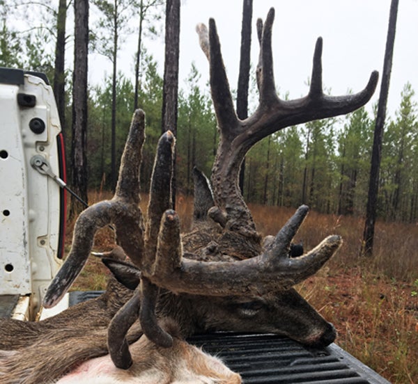 This huge rack is certainly one of a kind.