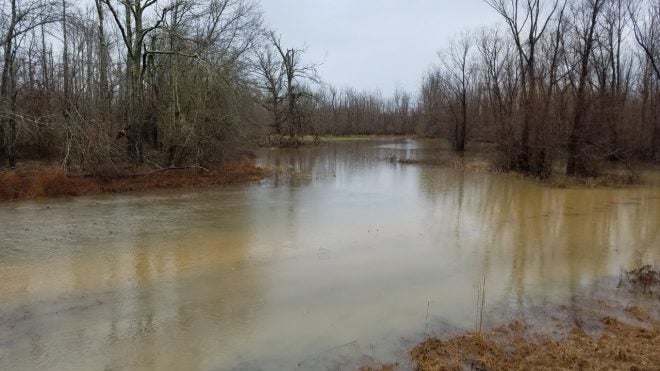 Analyzing a Busted Deer Hunting Season