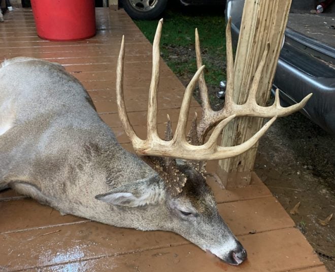 Last-Minute 14-Point Georgia Buck May Set a Record