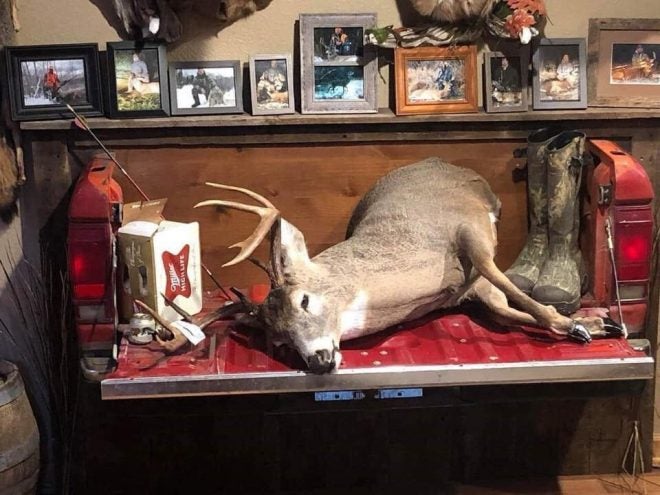 7 Interesting Deer Head Mounts