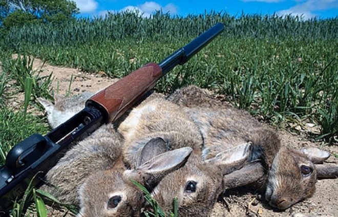 Rabbit Hunting Guns