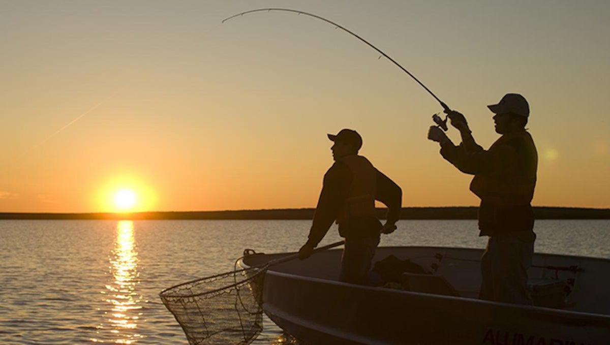 Finding the Best Spinning Reel for You Finding the Best Spinning Reel for You