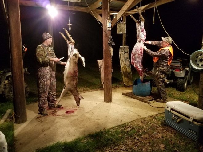 The Real Cost of Venison