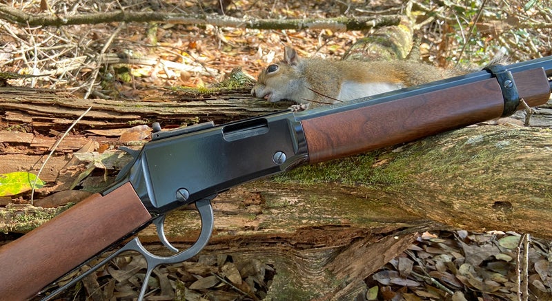 What Game to Hunt for Survival What Game to Hunt for Survival