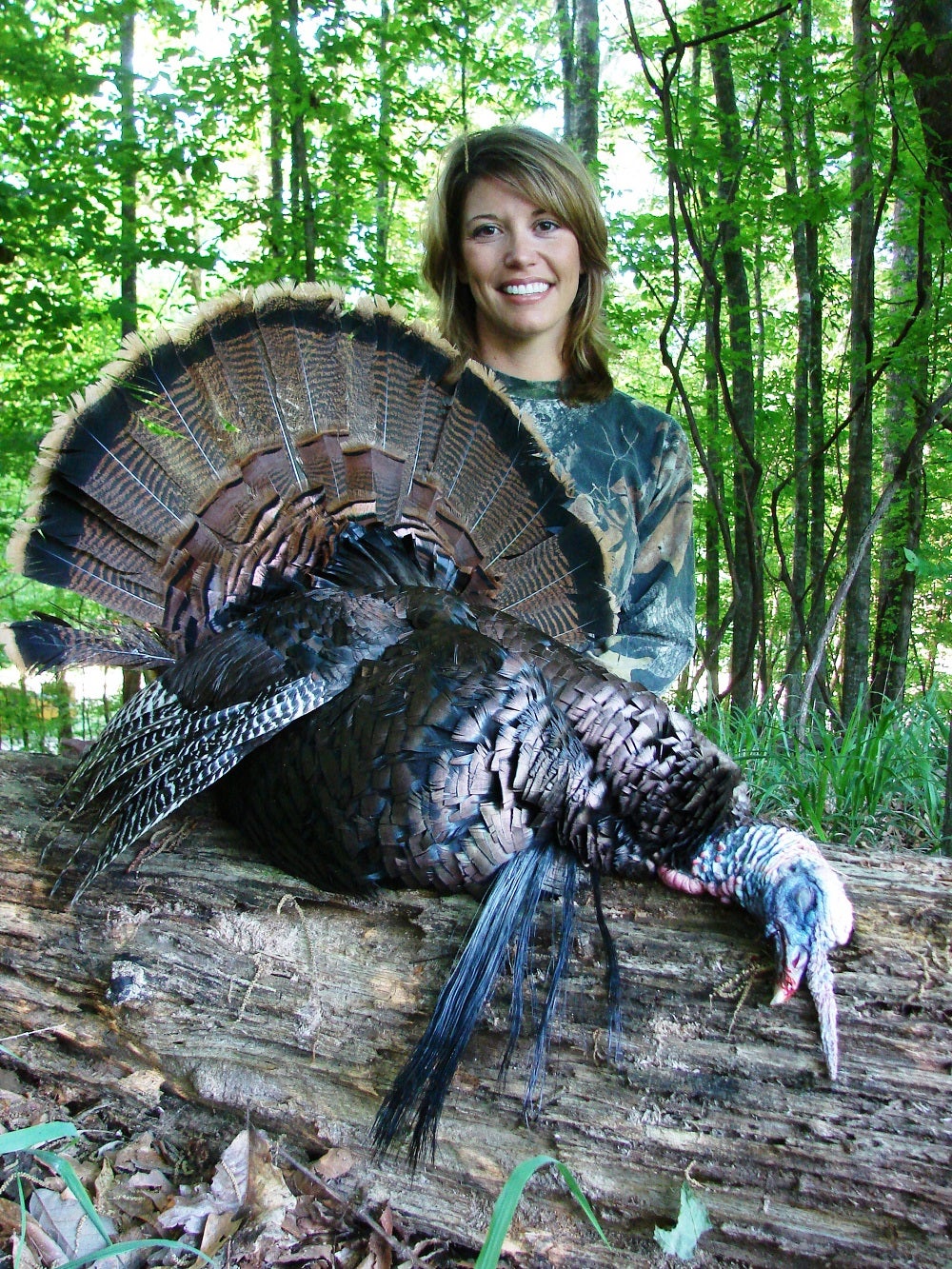 Calling Turkeys — Tough or Timid? Calling Turkeys — Tough or Timid?