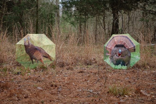 Turkey Decoy Strategies