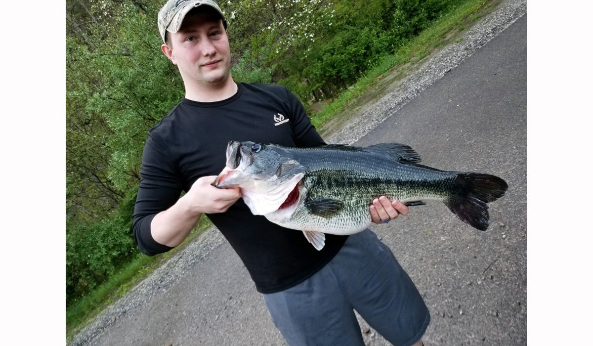 Kentucky 14.6-Pound Largemouth Bass Shatters State Record That Had Stood for 36 Years Kentucky 14.6-Pound Largemouth Bass Shatters State Record That Had Stood for 36 Years