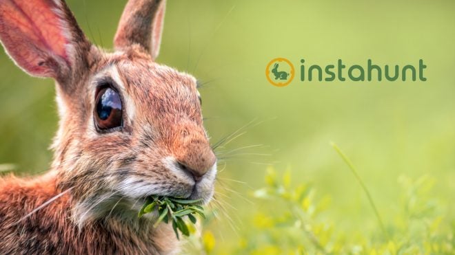instahunt Launches to Help Hunters Stuck at Home