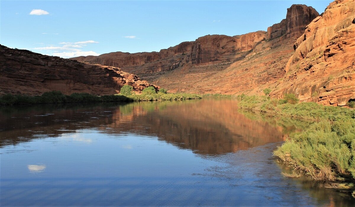 Take it Outside! 5 Ways to Beat the COVID Blues Take it Outside! 5 Ways to Beat the COVID Blues