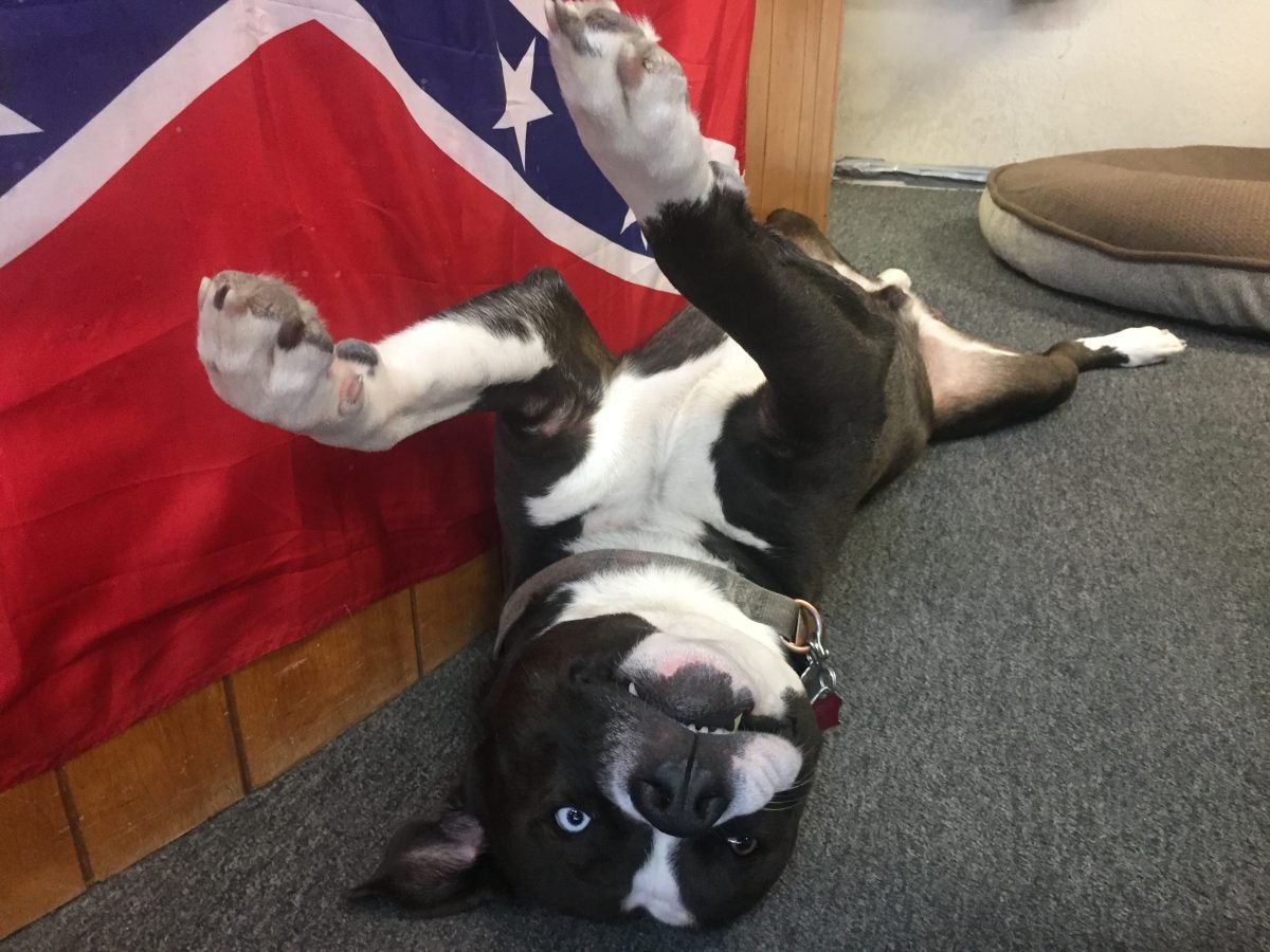 Stars & Bars