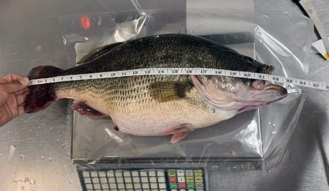 South Dakota has a New State Record Largemouth Bass