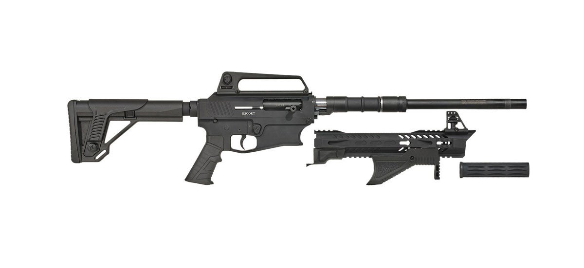 Hatsan just announced the release of two stylish guns in their new Escort V...