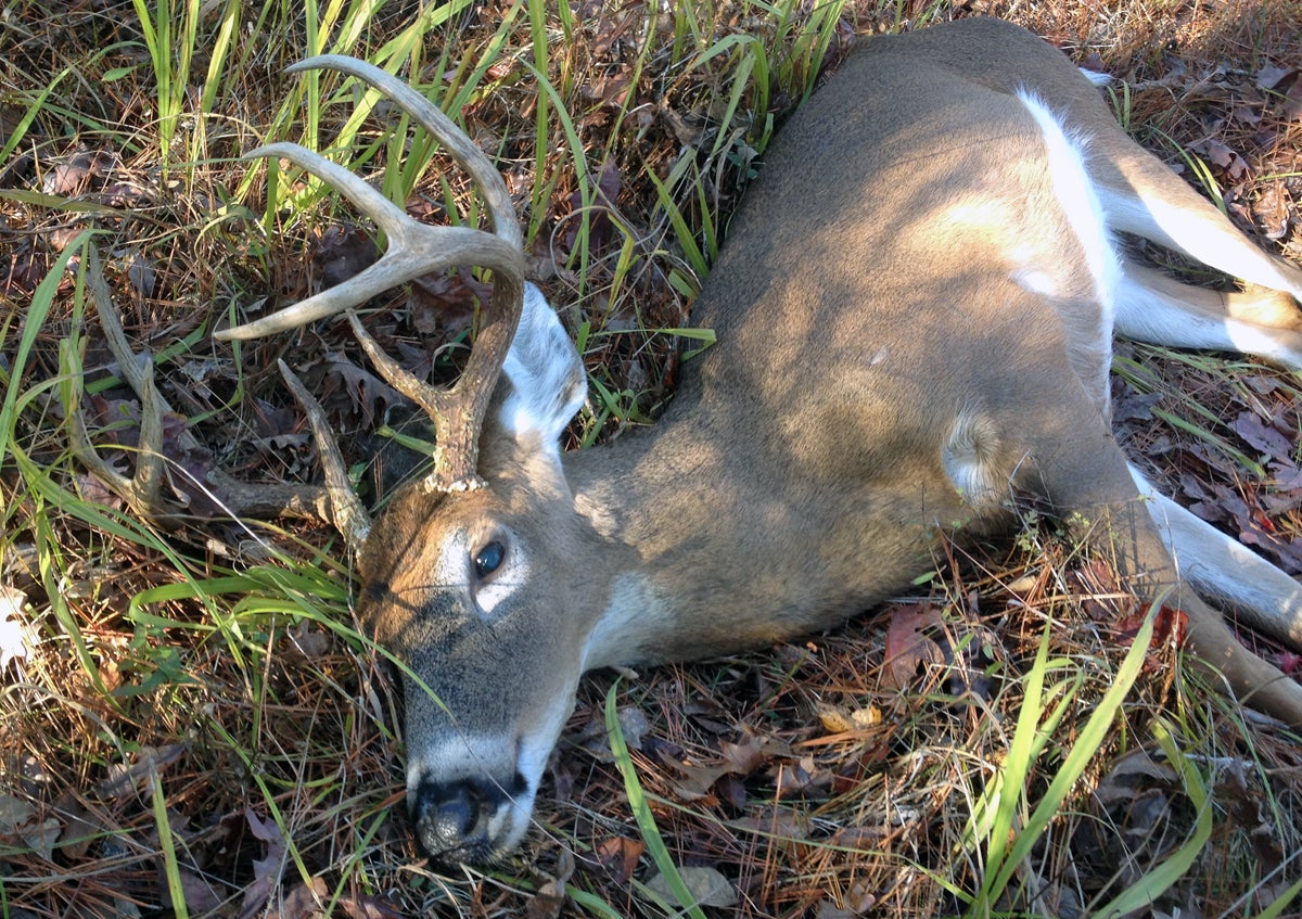 I took the double-header 8-point after helping my uncle slay a mature doe that morning. (Photo © Russ Chastain)