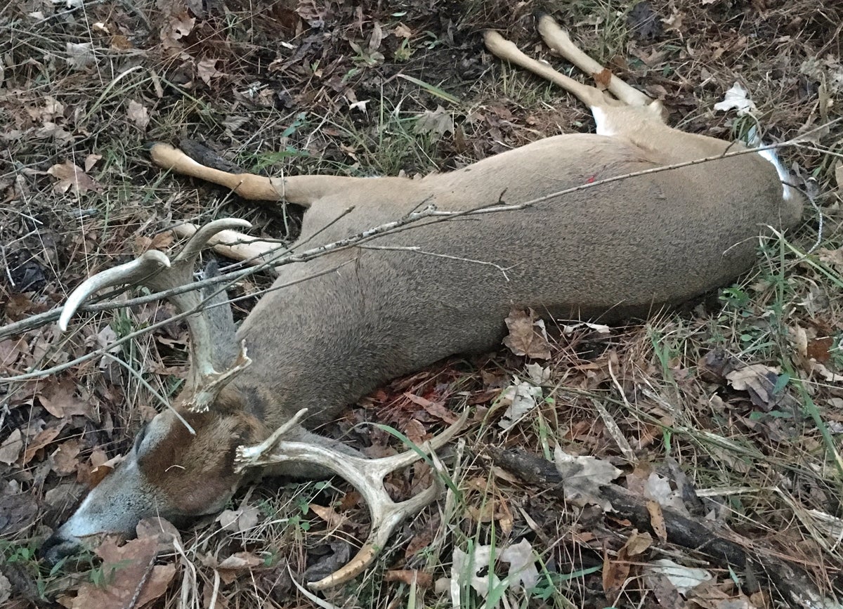 My last-minute redemption buck weighed 168 pounds and did not go far after the shot. (Photo © Russ Chastain)