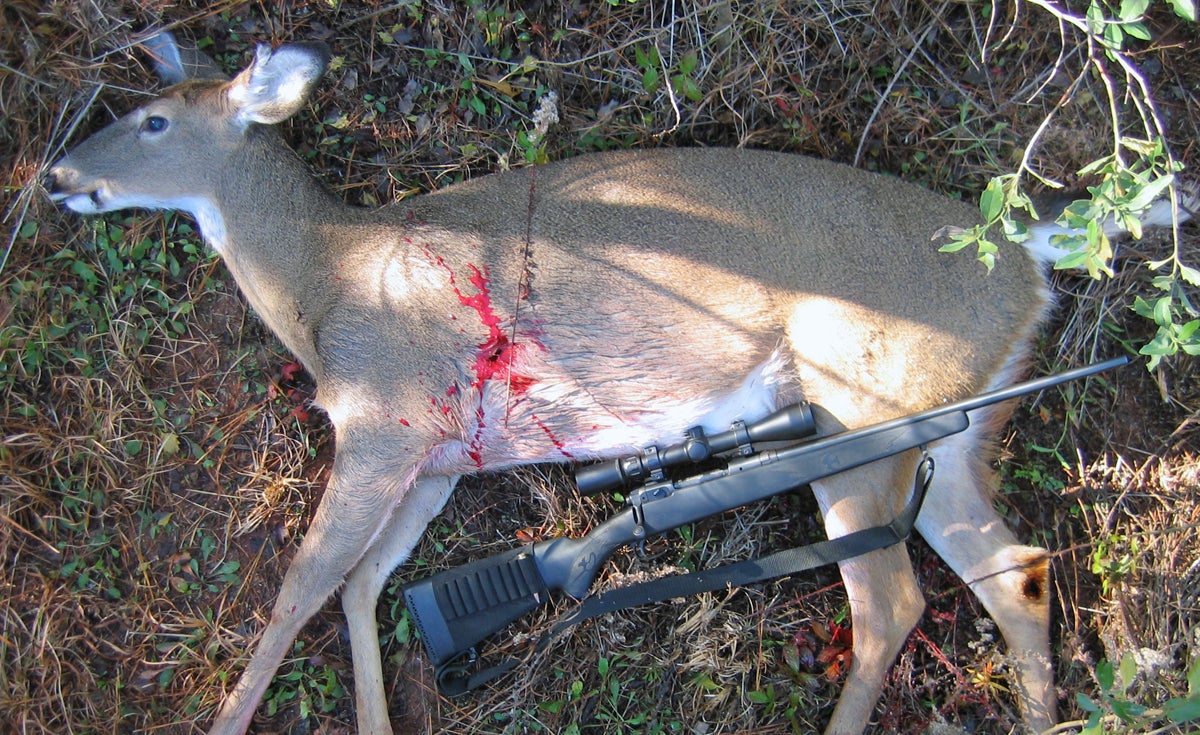 I took this big doe at 220+ yards with the little Savage Sierra 308. (Photo © Russ Chastain)