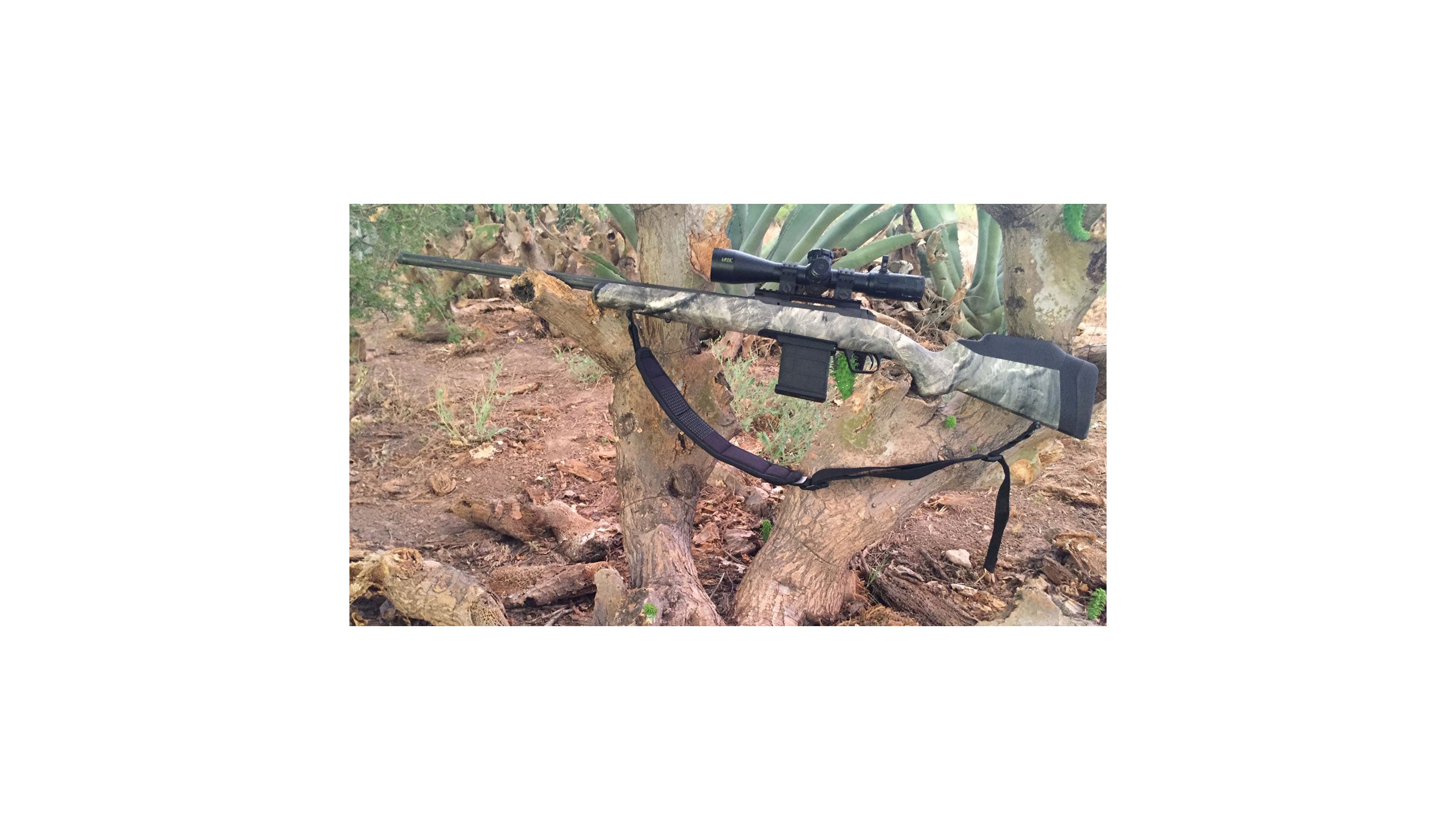 110 Ridge Warrior — New Rifle from Savage Arms Proves Itself on Range, Afield