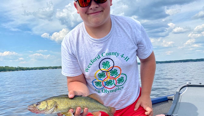 Walleye Fishing Lures that Work Walleye Fishing Lures that Work
