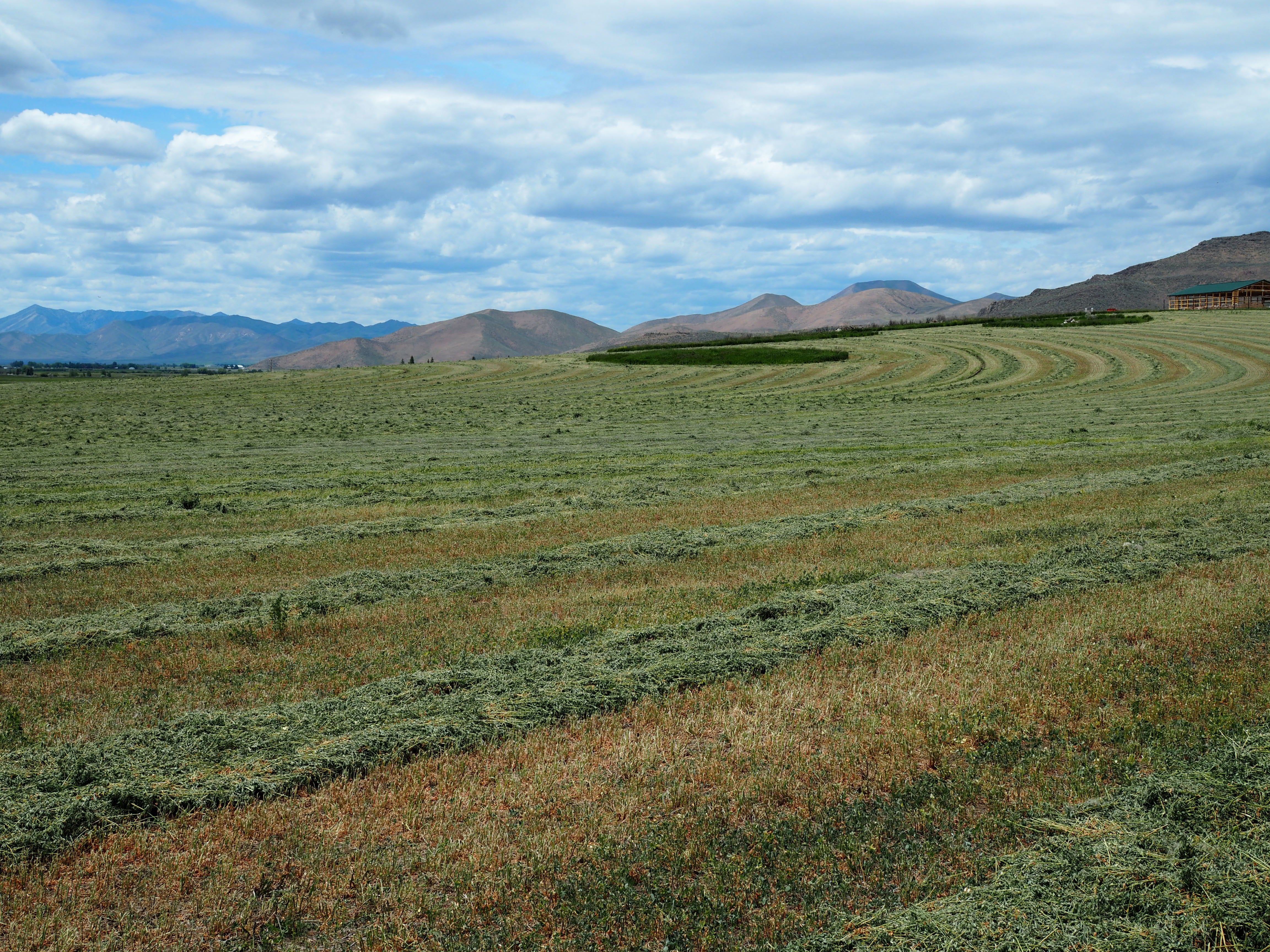 home on the range