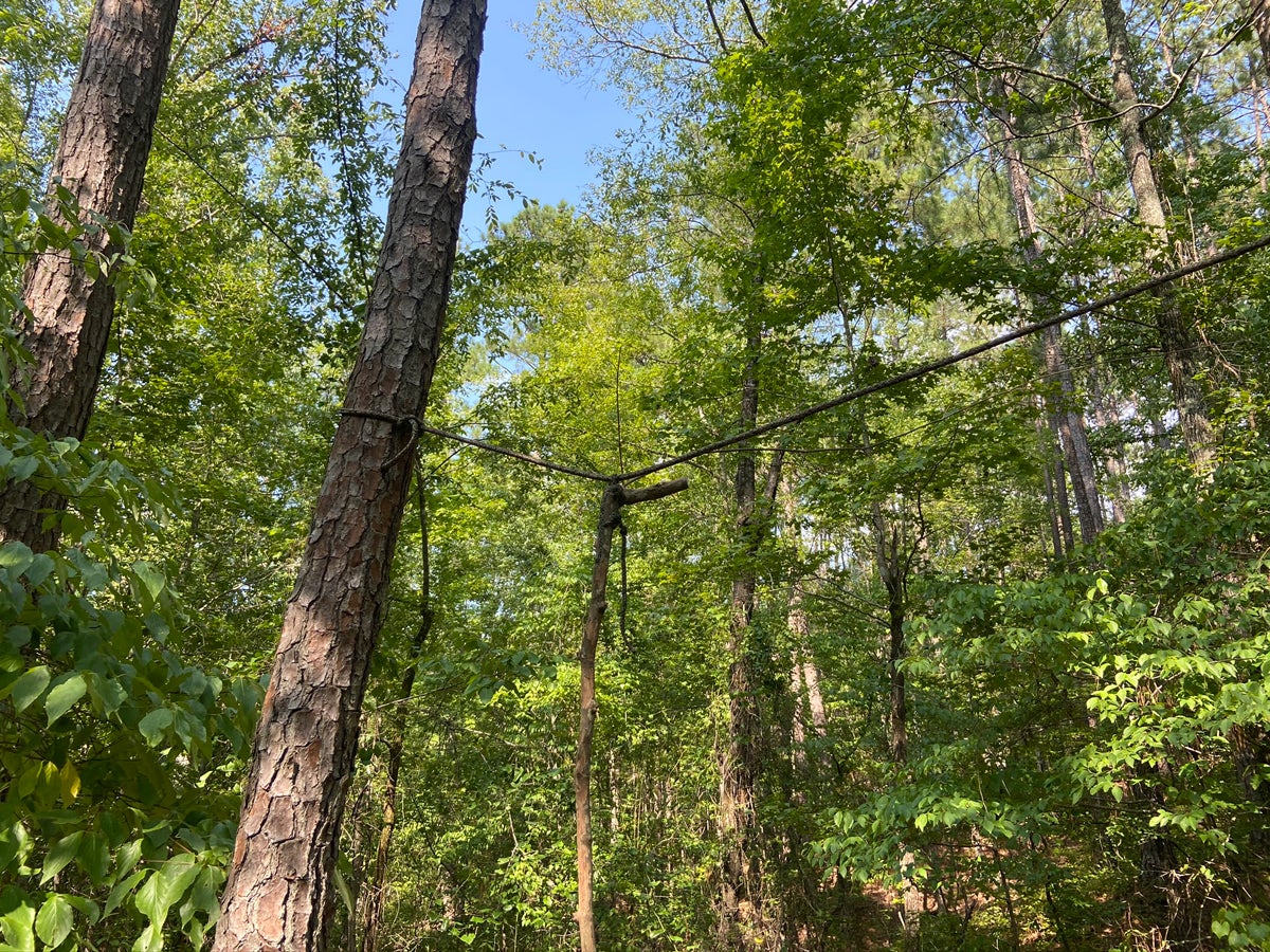 I got the rope as high as I could, then tied the vine to the rope. (Photo © Russ Chastain)